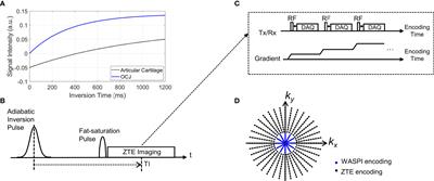 Feasibility of an Inversion Recovery-Prepared Fat-Saturated Zero Echo Time Sequence for High Contrast Imaging of the Osteochondral Junction